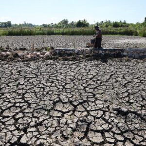 DÉSERTIFICACIÓN DE CUMBRE | Le montant mondial contre la désertification a coûté 1 300 millions de dollars, mais il n'a pas encore un pacte mondial pour la suite.