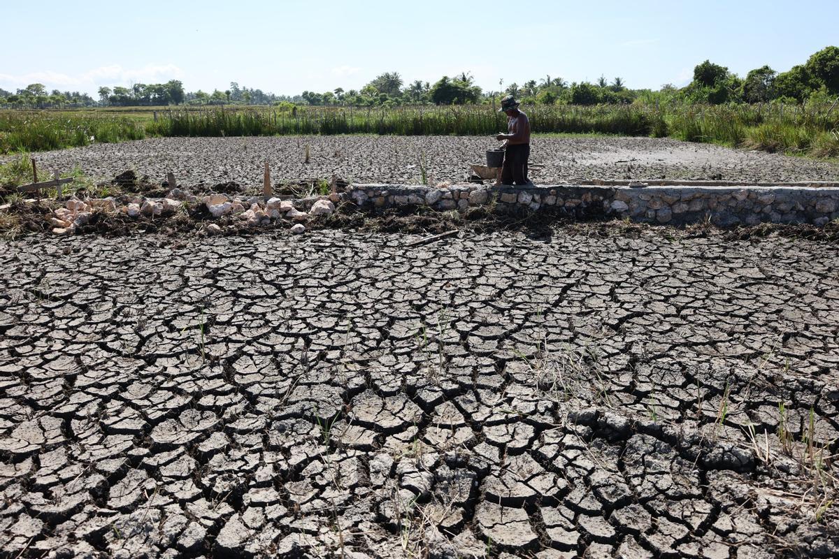 Image de terre affectée par la séquence extrême en Indonésie