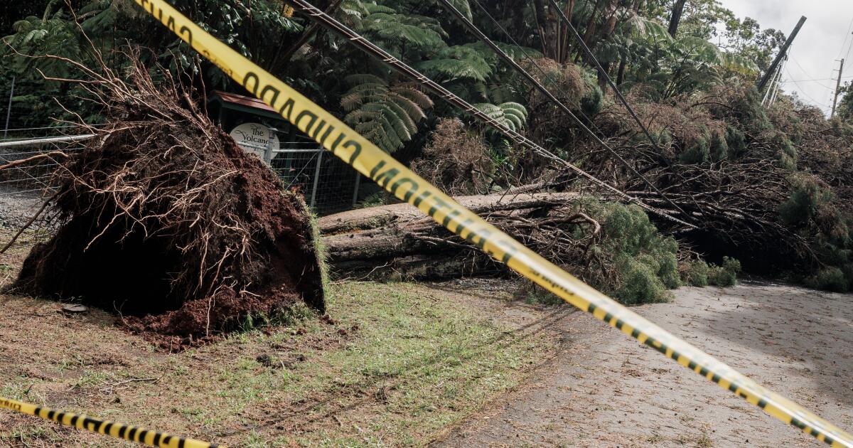 De fortes pluies et de forts vents devraient frapper Hawaï moins d'une semaine après les dégâts causés par l'ouragan Lala.