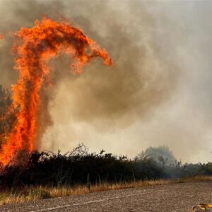 INCENDIOS DE PRÉVENTION | Les scientifiques espagnols ont développé une IA pour prédire de grands incendies avec 16 jours d'antenne.