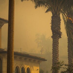 La Californie réaffirme son leadership national en matière de feux de forêt