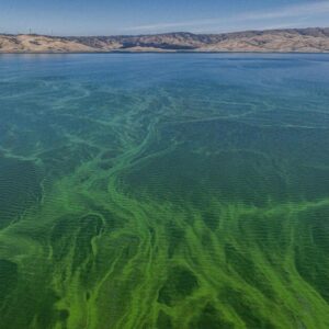 La Californie suivra les gaz à effet de serre provenant des réservoirs