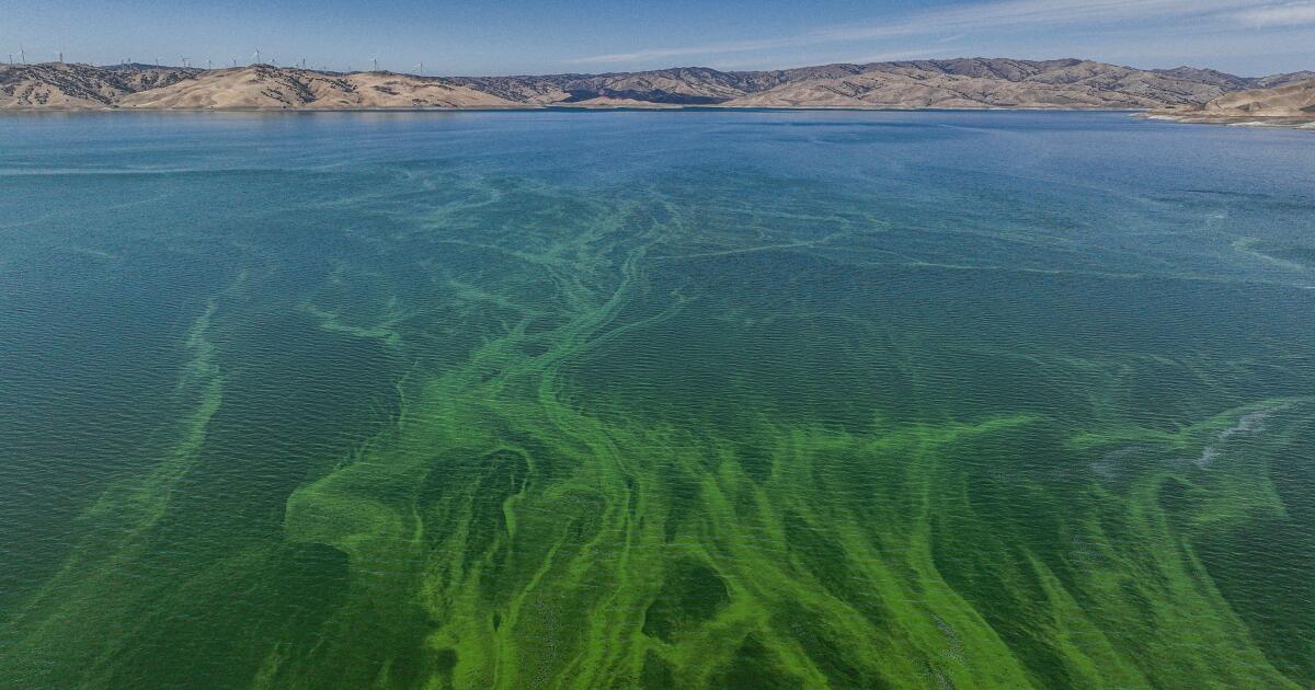 La Californie suivra les gaz à effet de serre provenant des réservoirs