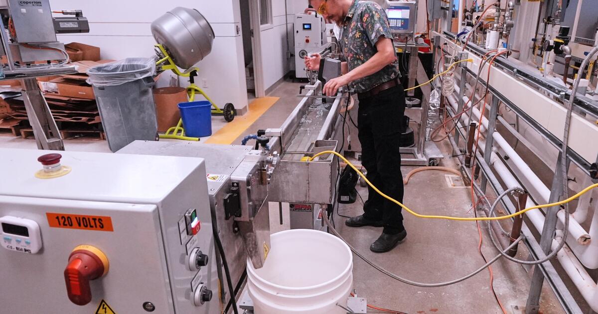 Le plastique fabriqué à partir de sucre pourrait remplacer les fourchettes en plastique, qui libèrent des microplastiques
