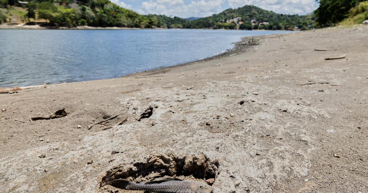 Les États-Unis déclarent une sécheresse désastreuse pour certaines parties de Porto Rico alors que la sécheresse persiste