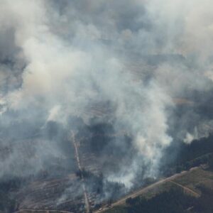 Les pays européens luttent contre de multiples incendies de forêt alors qu’une chaleur record s’empare du continent
