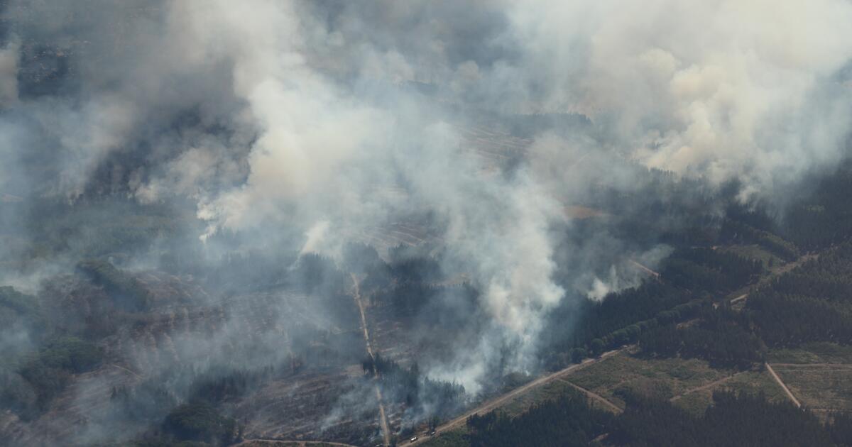Les pays européens luttent contre de multiples incendies de forêt alors qu’une chaleur record s’empare du continent