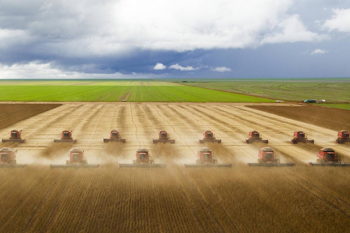 L'agriculture et l'industrie industrielle sont dans un environnement chaud et insalubre