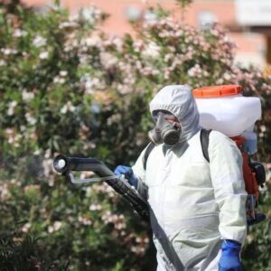 VIRUS NILO | Le virus du Nilo vise à activer les alertes en Andalousie : « Esto ha llegado para quedarse. Hay que protegerse y usar repelentes »