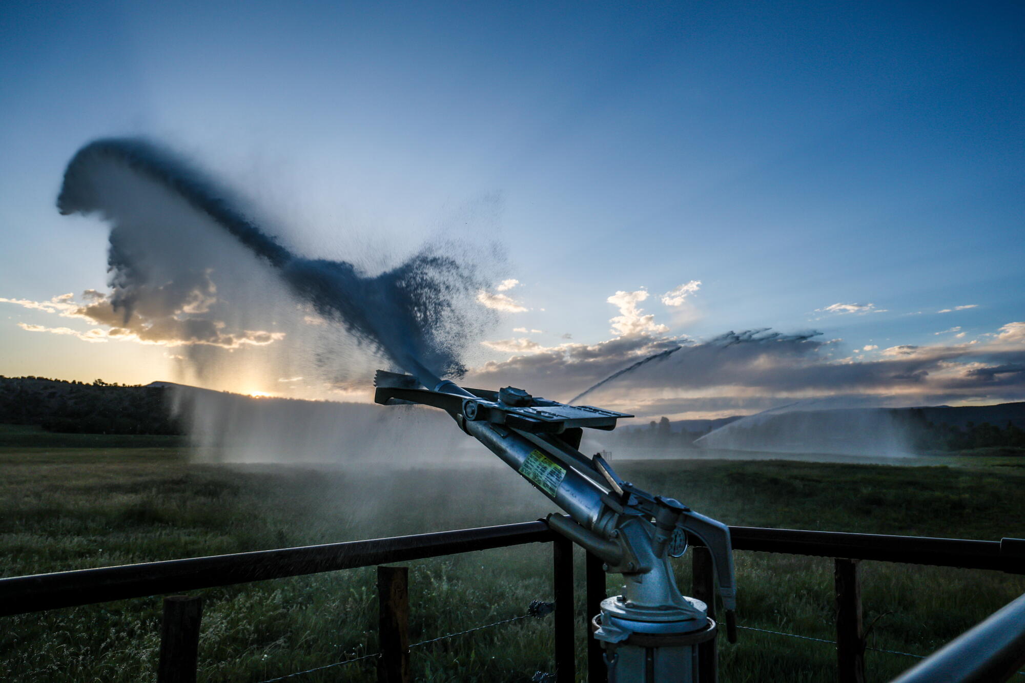 Un arroseur d'eau pulvérise un pâturage pour le bétail. 