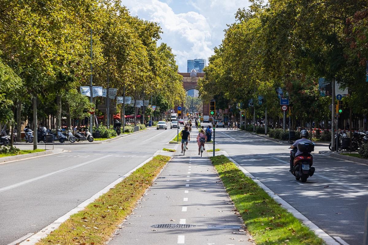 Arbolado dans la ville de Barcelone