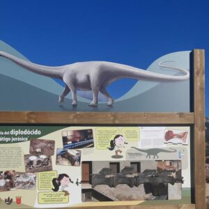 DINOSAURE TERUEL | Découvrez à Teruel ce qui sera le premier «diplodocus» qui habite l'Europe depuis plus de 150 millions d'années.