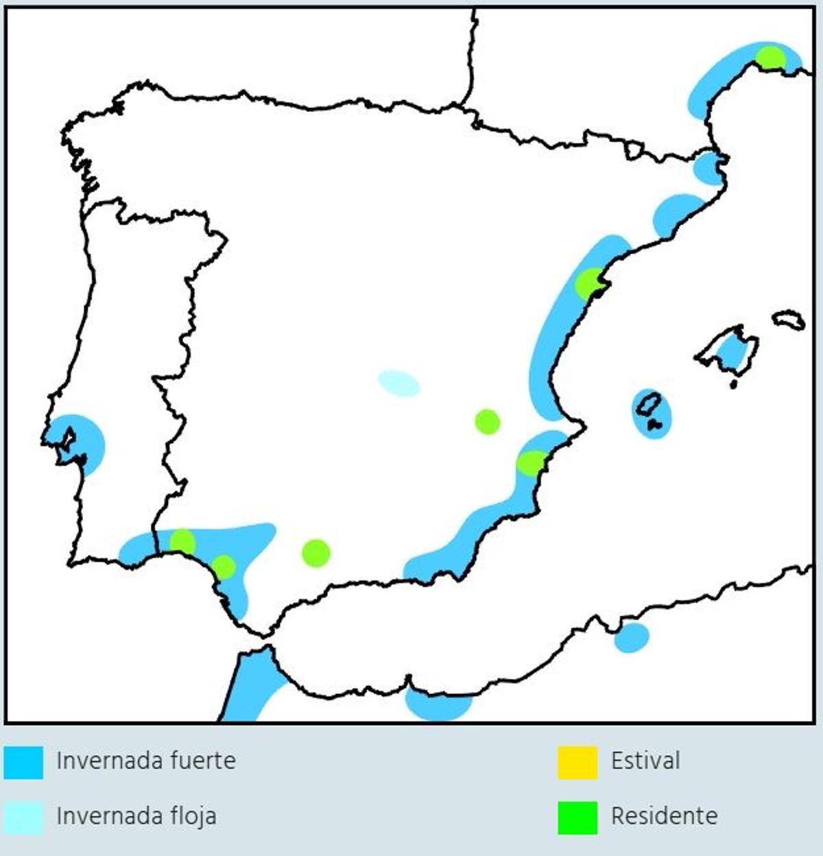 Distribution du flamenco dans la péninsule, Baléares et nord de l'Afrique