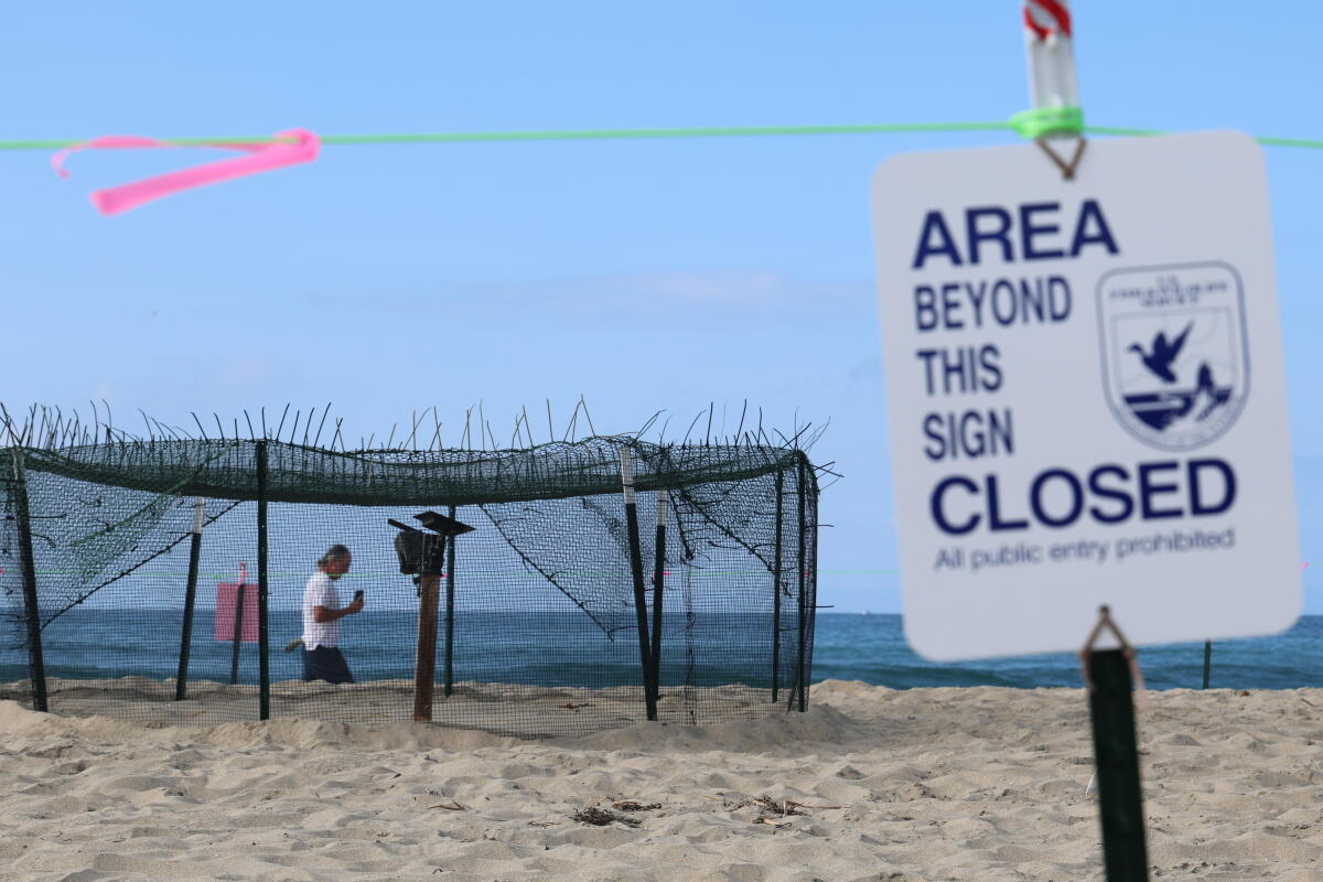 Une zone de nidification de tortues bloquée sur une plage
