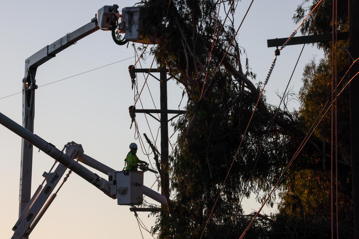 Un travailleur utilise une scie à chaîne pour enlever les branches d'un arbre d'une ligne électrique.