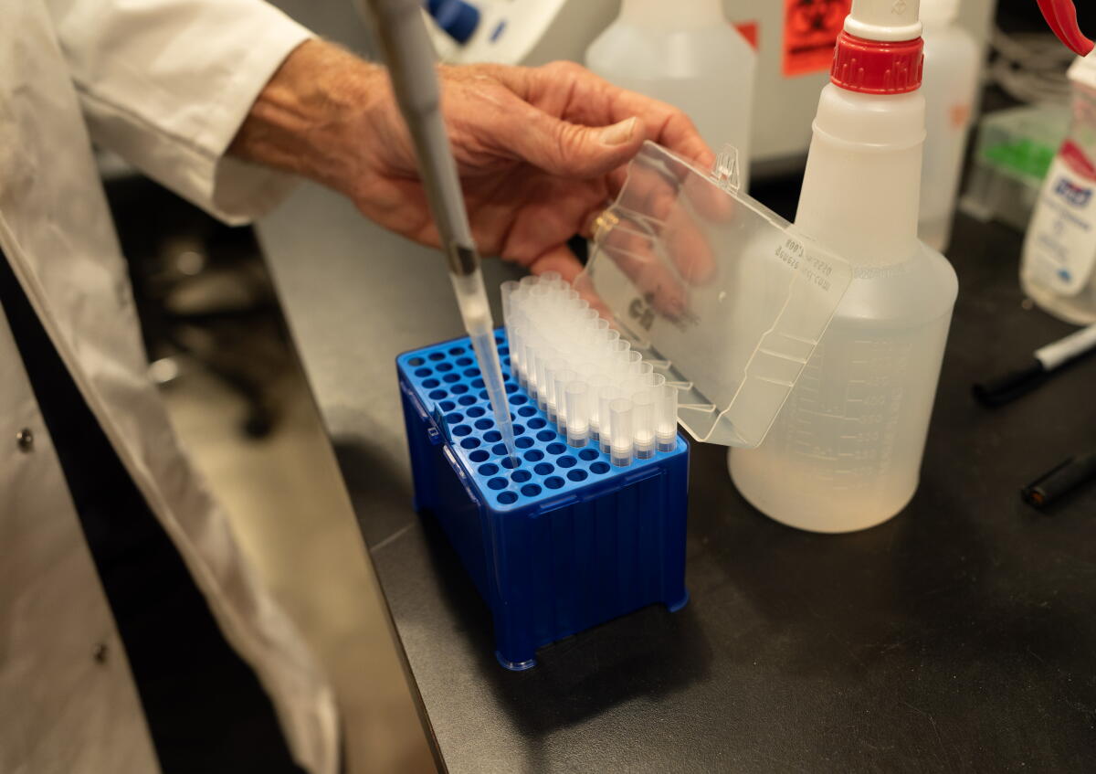 Un chercheur utilise une pipette pour distribuer des échantillons liquides dans une boîte à plusieurs chambres