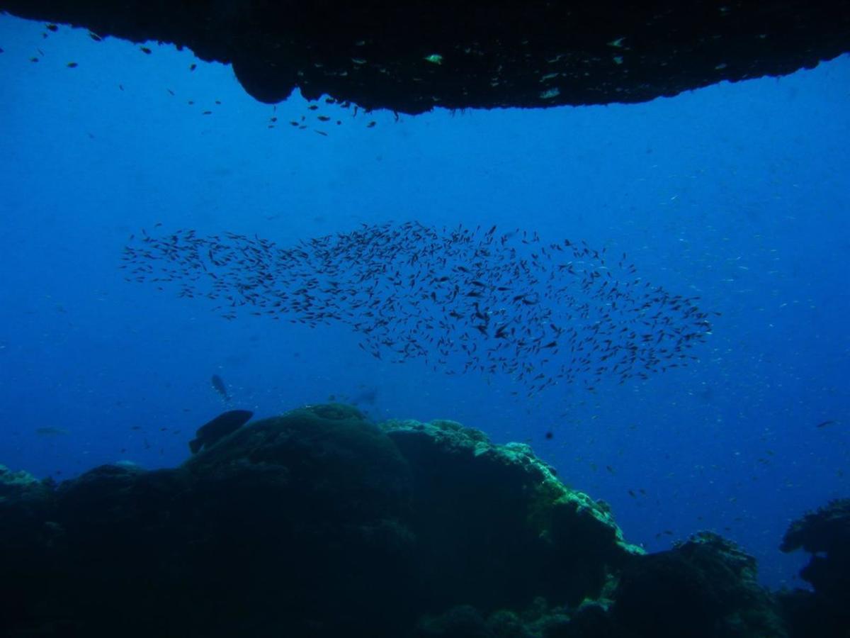 La recherche sous-marine peut être favorisée par le hallazgo