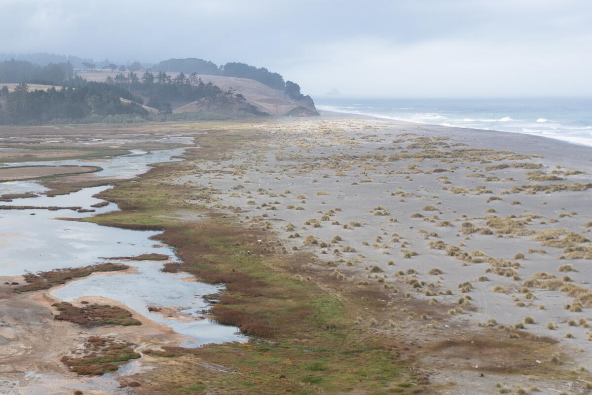 Une vue sur la plage de Centerville dans le comté de Humboldt