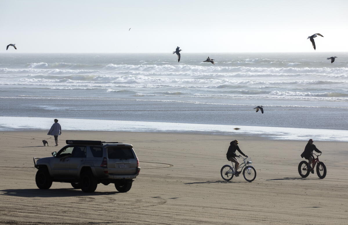 Voitures, vélos et piétons dans la zone de loisirs véhiculaire d'État d'Oceano Dunes 
