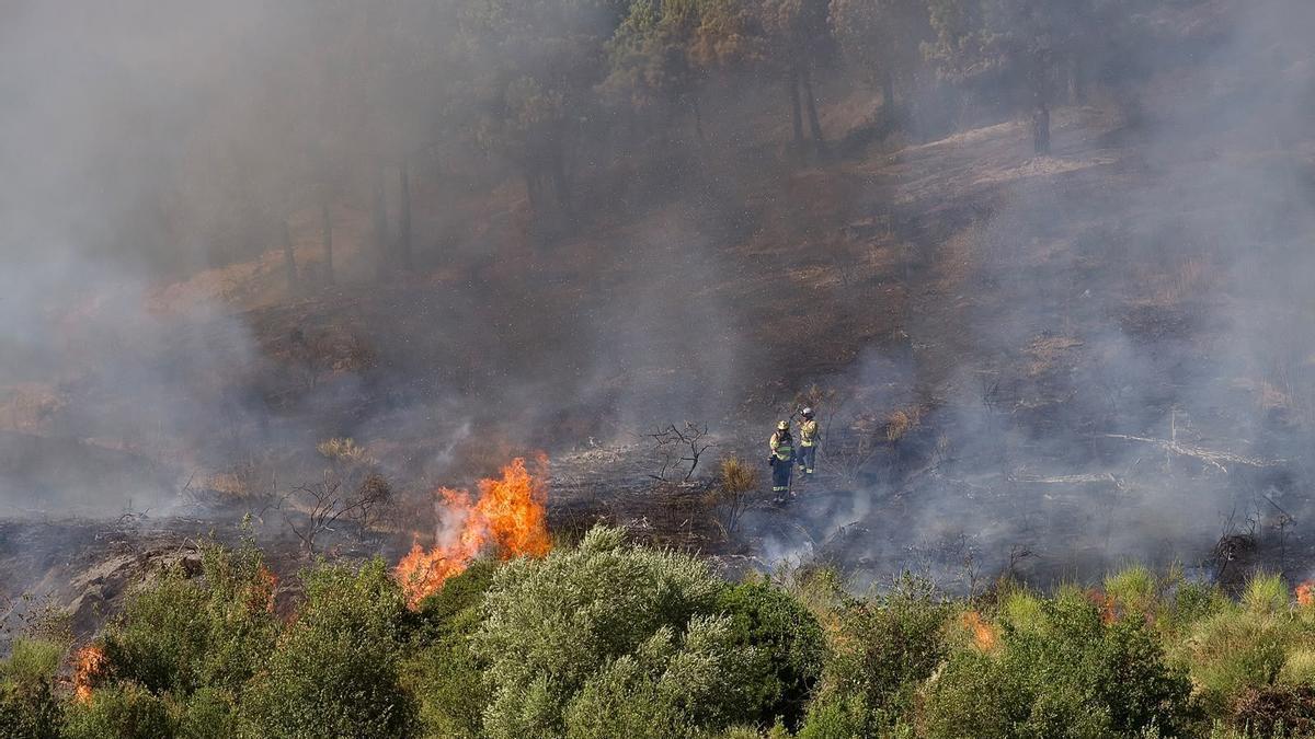 Incendio en Collserola