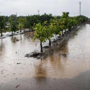 La Catalogne révisera la gestion de l'envoi d'alertes mobiles avant une autre pluie torrentielle