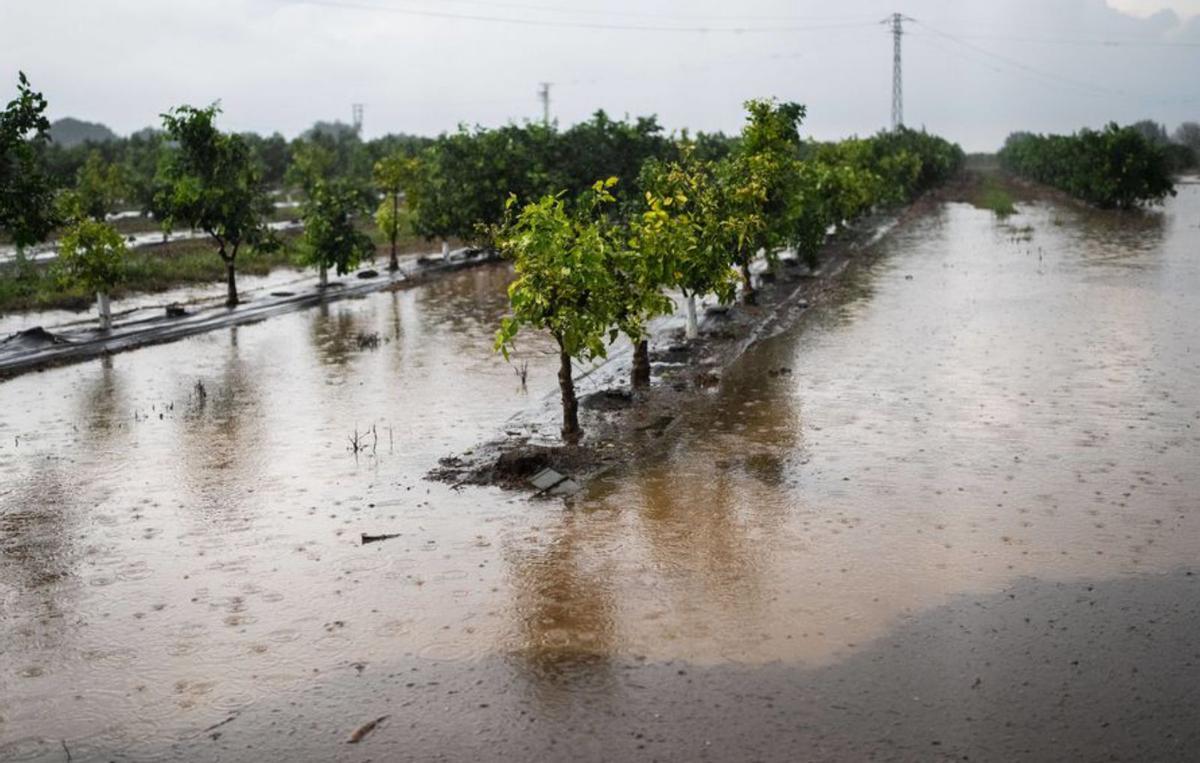 La Galera (Montsià), après les intenses bouchons du 12 octobre. | ZOWY VOETEN