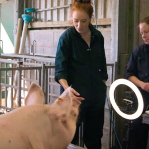 La télévision doit montrer de vraies vies d'animaux