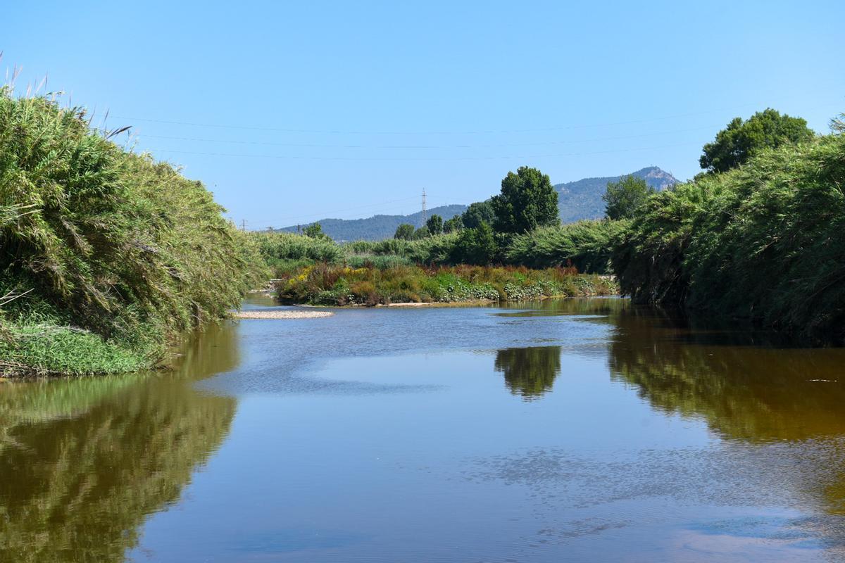 Le fleuve Llobregat, à son pas dans la comarque du Baix Llobregat.