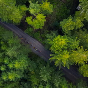 Les législateurs californiens décident de restructurer les forêts de l’État en les centrant sur l’exploitation forestière