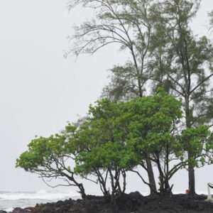 Les ouragans dans le Pacifique menacent Hawaï et le Mexique d'inondations et de fortes vagues