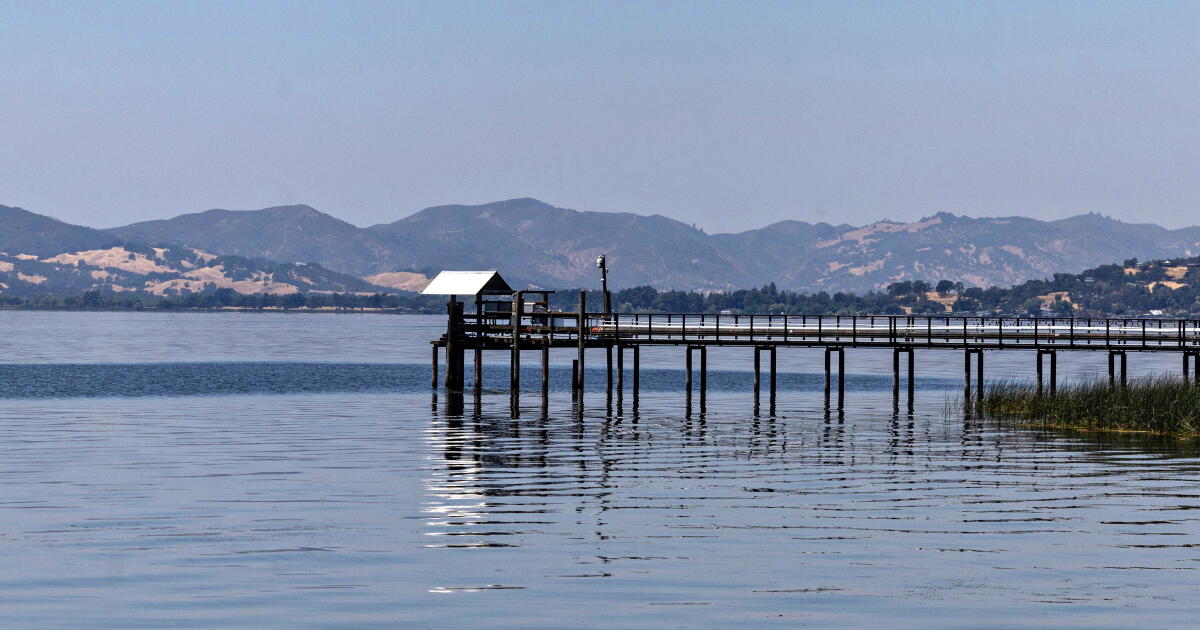Les tribus californiennes signent un accord historique pour sauver les poissons du lac Clear
