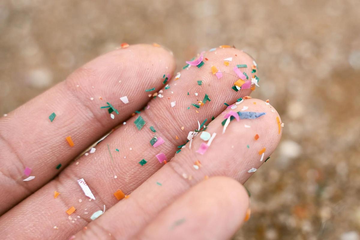 Les microplastiques sont placés à l'intérieur du corps humain pour la nourriture, la boisson et l'air