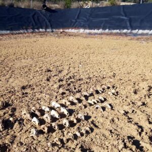 MUERTES BALSAS RIEGO | Un million d'animaux morts chaque année en balsas de riego: dénoncer la paralisation du décret qui l'évitera