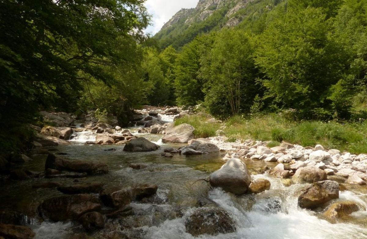 Image du fleuve Salenca, en Catalogne