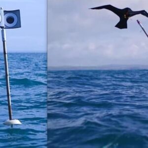 MARINAS DE REDES AVES | Comment les créateurs inventent-ils de réduire considérablement la mortalité des marinas par rapport à la pêche