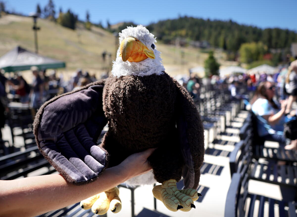 Un pygargue à tête blanche étouffé lors d'un événement commémoratif intitulé « Wings Over Big Bear » en l'honneur de Jackie le pygargue à tête blanche.
