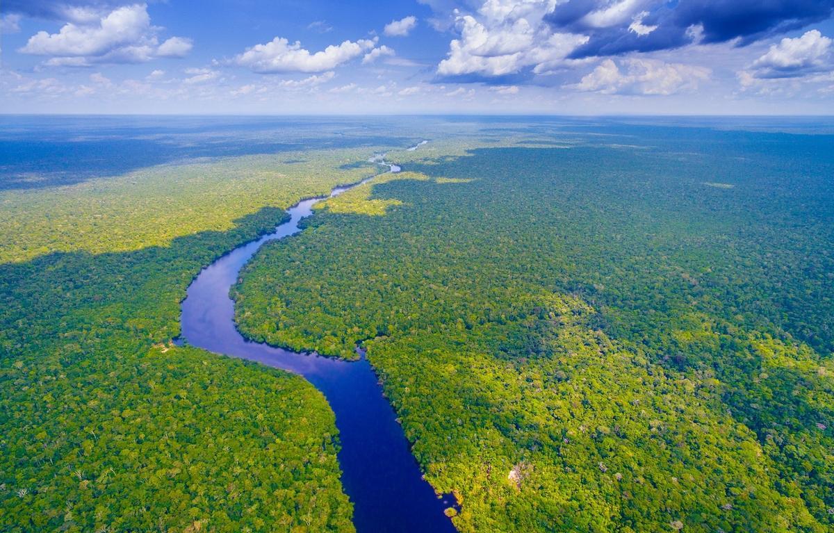 Sudamérica et Caribe, la région où se réduit davantage la population de faune