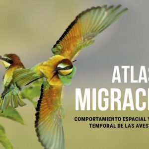 ATLAS AVES MIGRATORIAS | Les cigüeñas espagnoles sont déjà en train de migrer : elles sont ici chargées du chauffage mondial