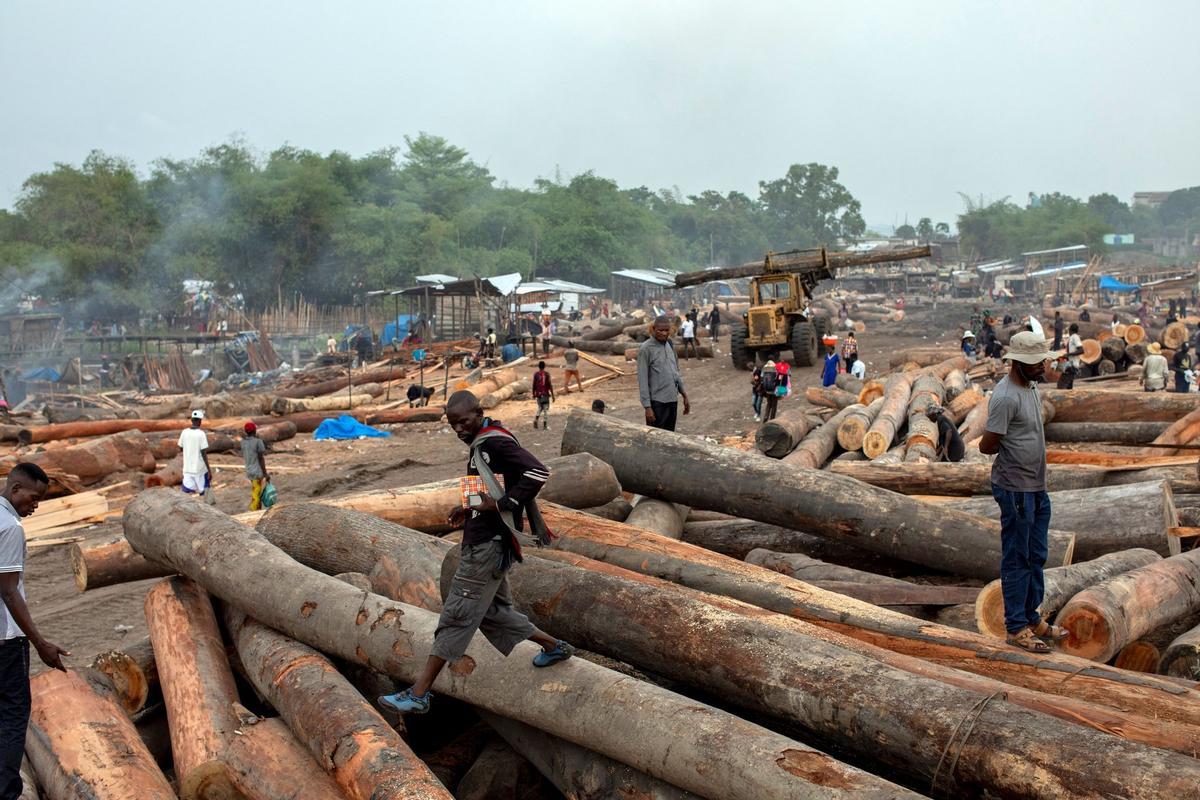 Déforestation dans la Cuenca del Congo