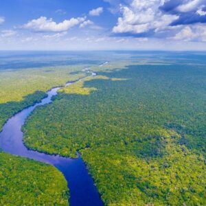 INFORME DEFORESTACIÓN | Le monde est l’objectif de freiner la déforestation mondiale en 2030, qui pèsera sur les meilleures de 2025