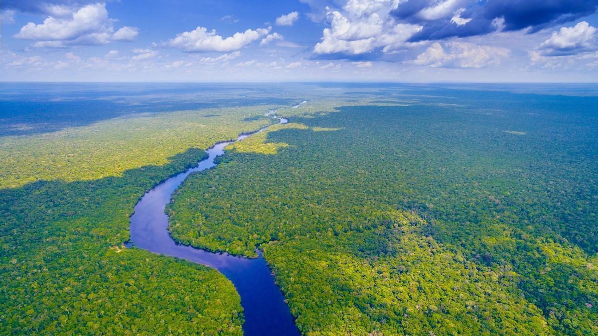 El río Amazonas atraviesa la mayor selva del mundo