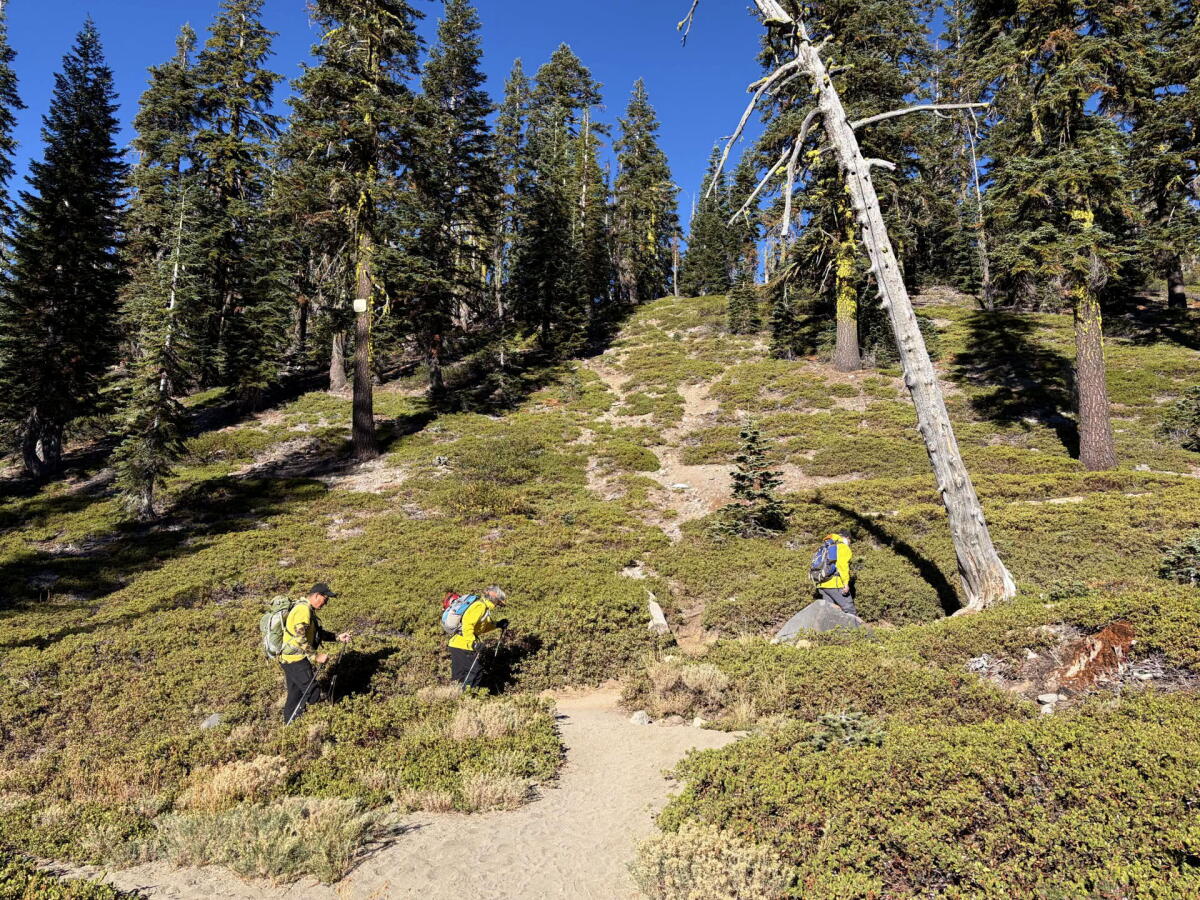 2 randonneurs perdus sur le mont Shasta sauvés.