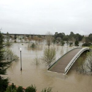 LIMPIEZA PELIGROSA RÍOS | Pourquoi « nettoyer » la végétation des rivières et des torrents augmente le risque d'inondations graves ?