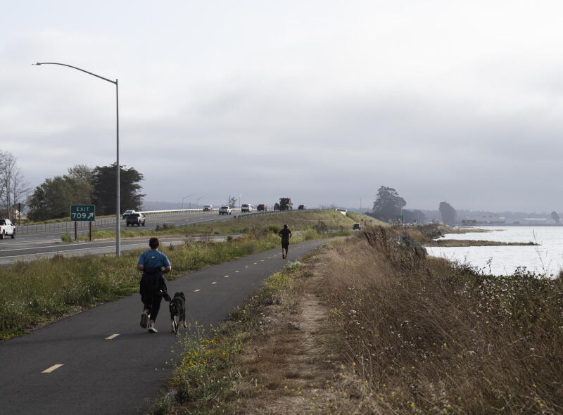 Les gens courent sur le sentier Humboldt Bay