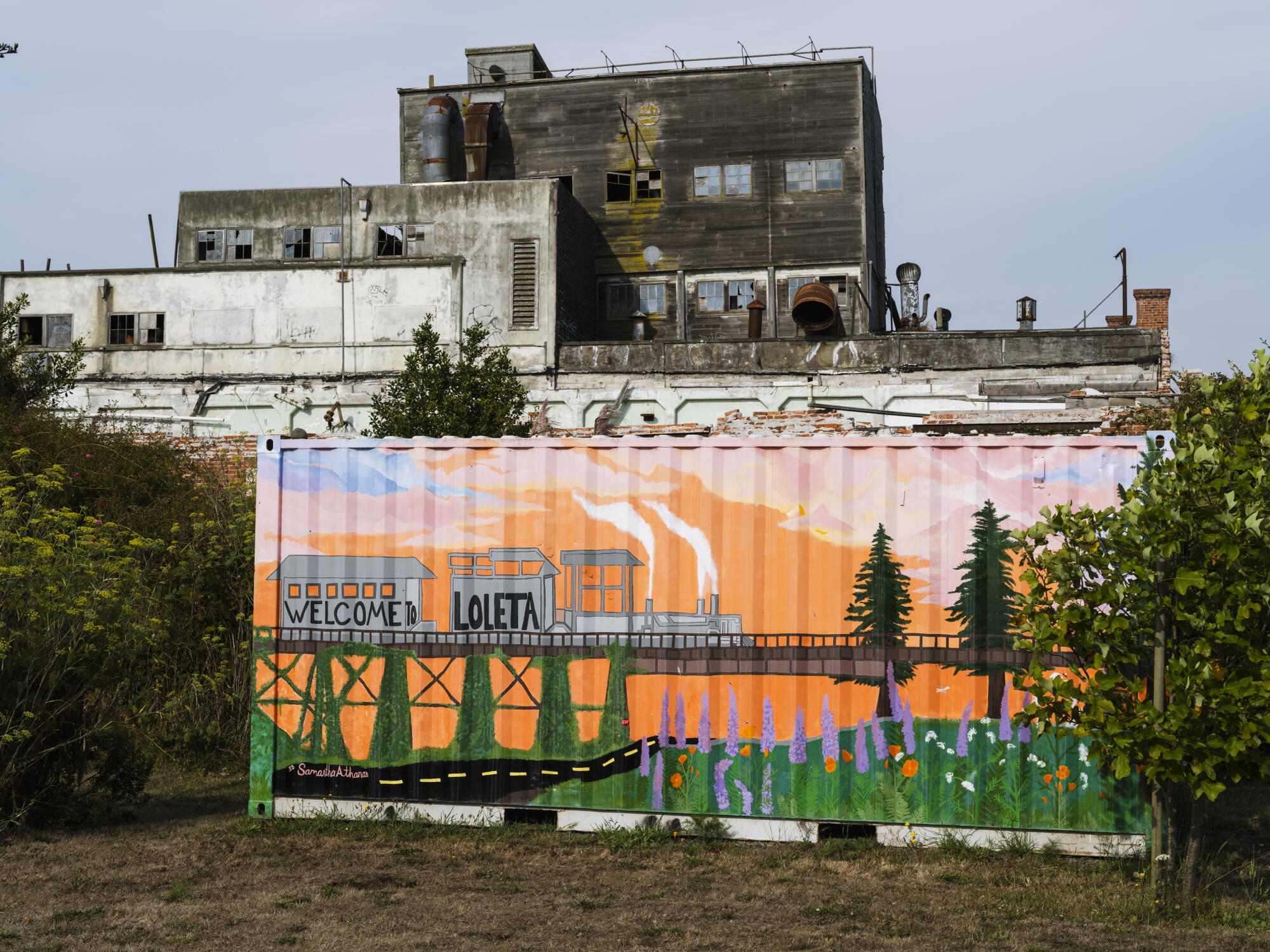 Une fresque représentant un train est peinte sur un conteneur d'expédition.