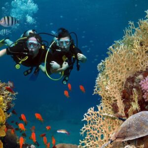 EXTINCIÓN CORALES | La mitad des espèces de corail de la planète est en danger d'extinction à cause des calories