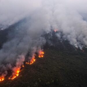 INCENDIOS EL NIÑO | El Niño provoque une cascade d'incendies forestiers près de la planète