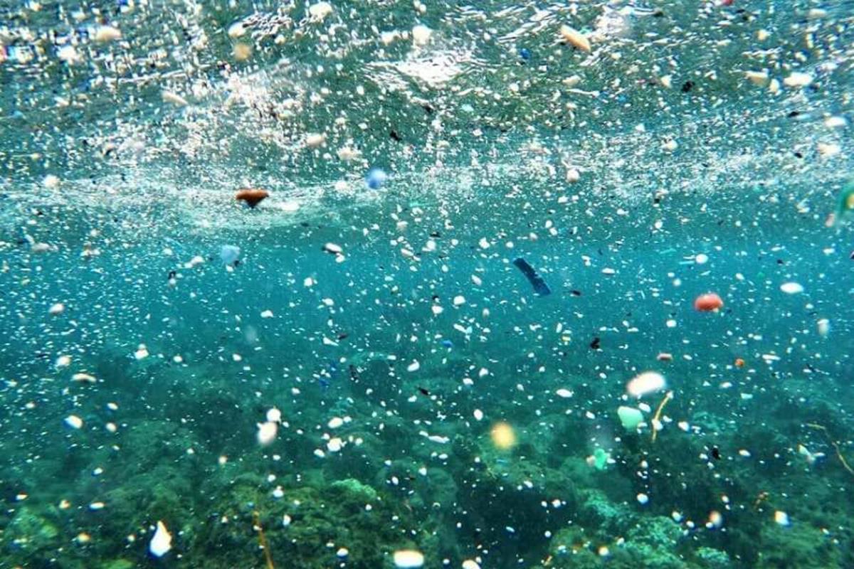 Les systèmes de purification actuels ne permettent pas de filtrer correctement les nano et microplastiques