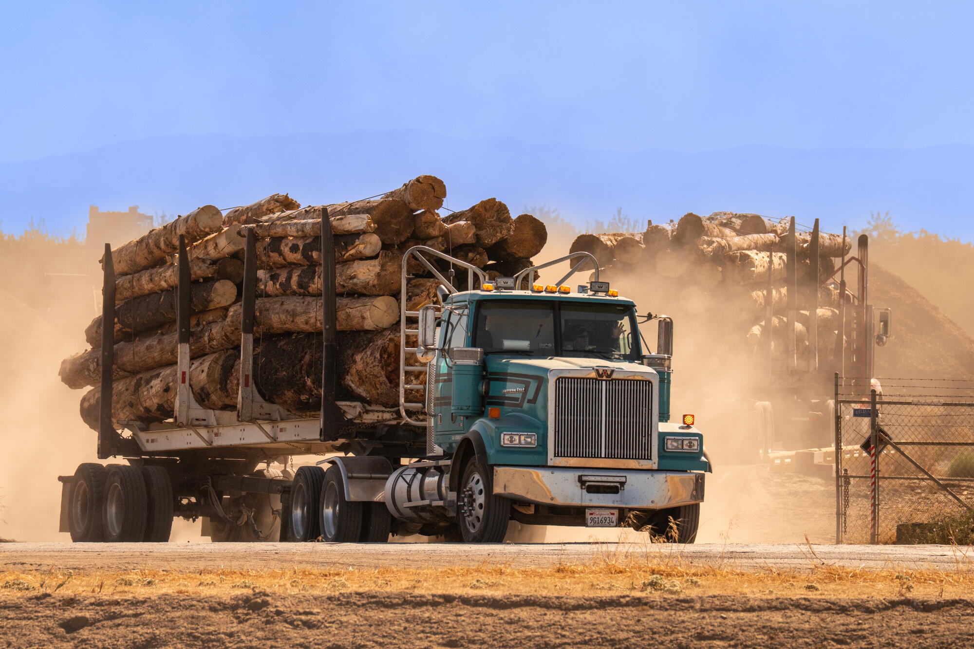 Un camion transporte des grumes.