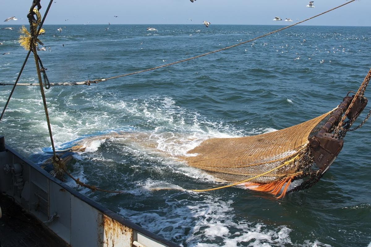 La pêche à l'arracher est particulièrement destructrice pour le fond marin